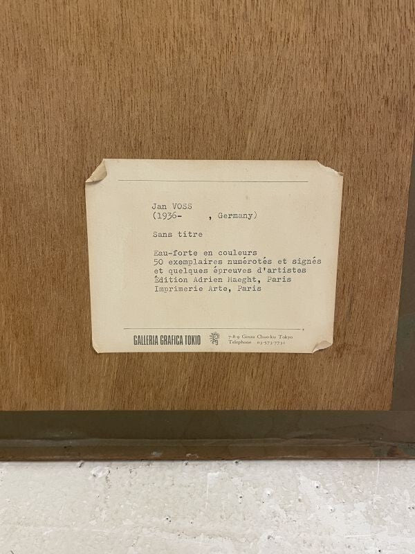 Jan Voss (Germany) 1982 Signed Original Etching Print Ed50 Framed