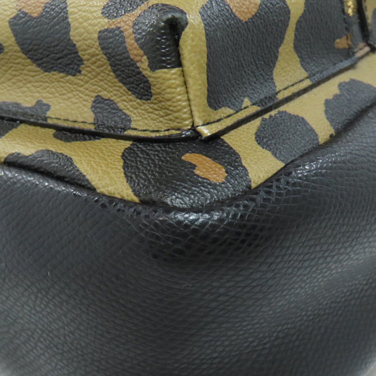 COACH F38395 Backpack Daypack Leopard pattern