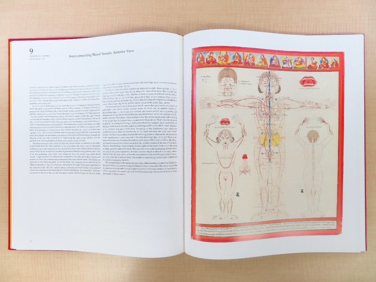 Tibetan Medical Paintings By Gyurme Dorje, 1992, 2 Volumes, Rare Complete Set
