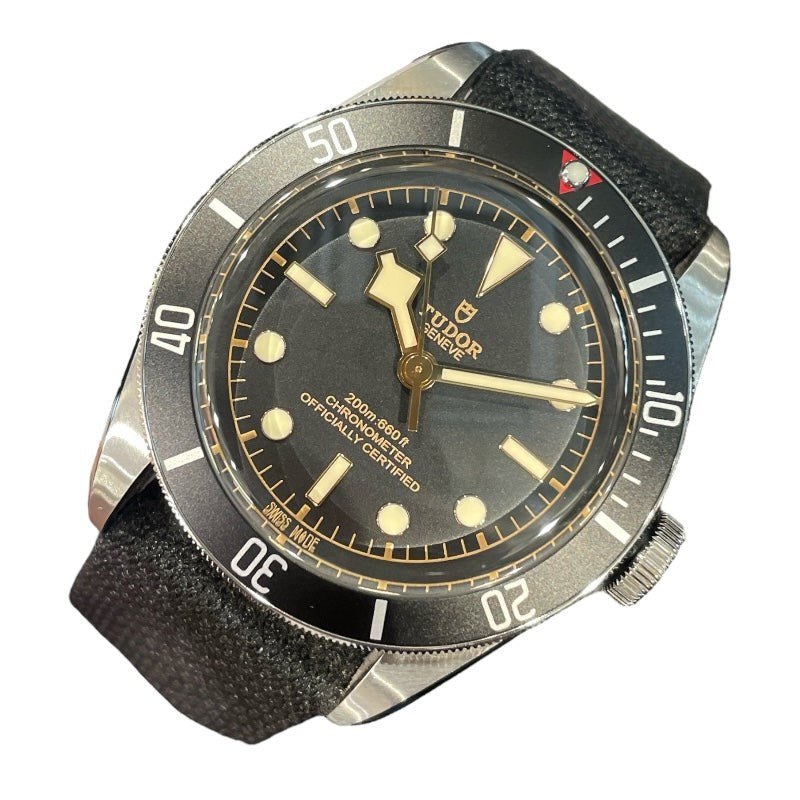 Tudor Heritage Black Bay 79230N