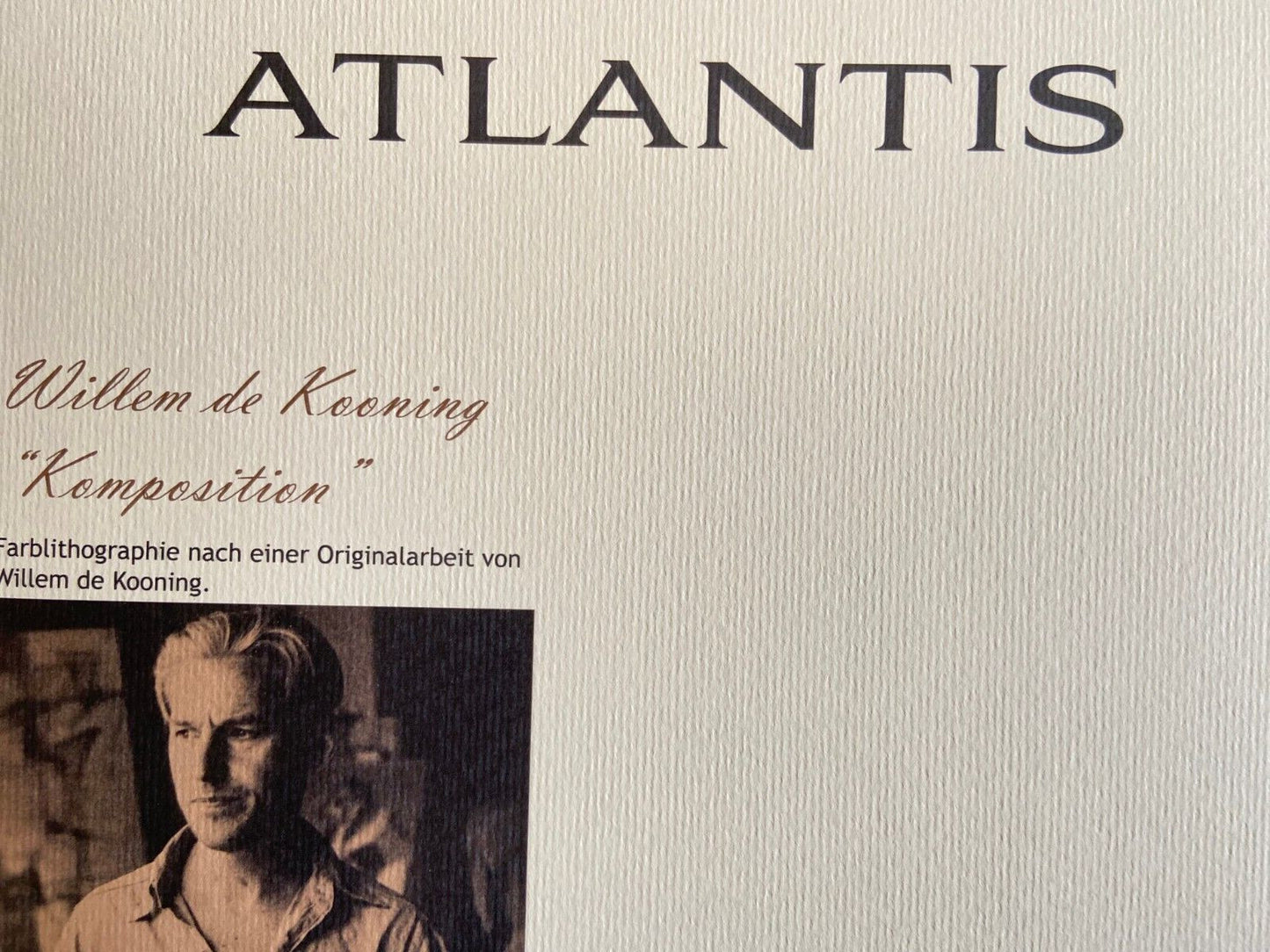 Willem De Kooning Action Painting Coa Signed