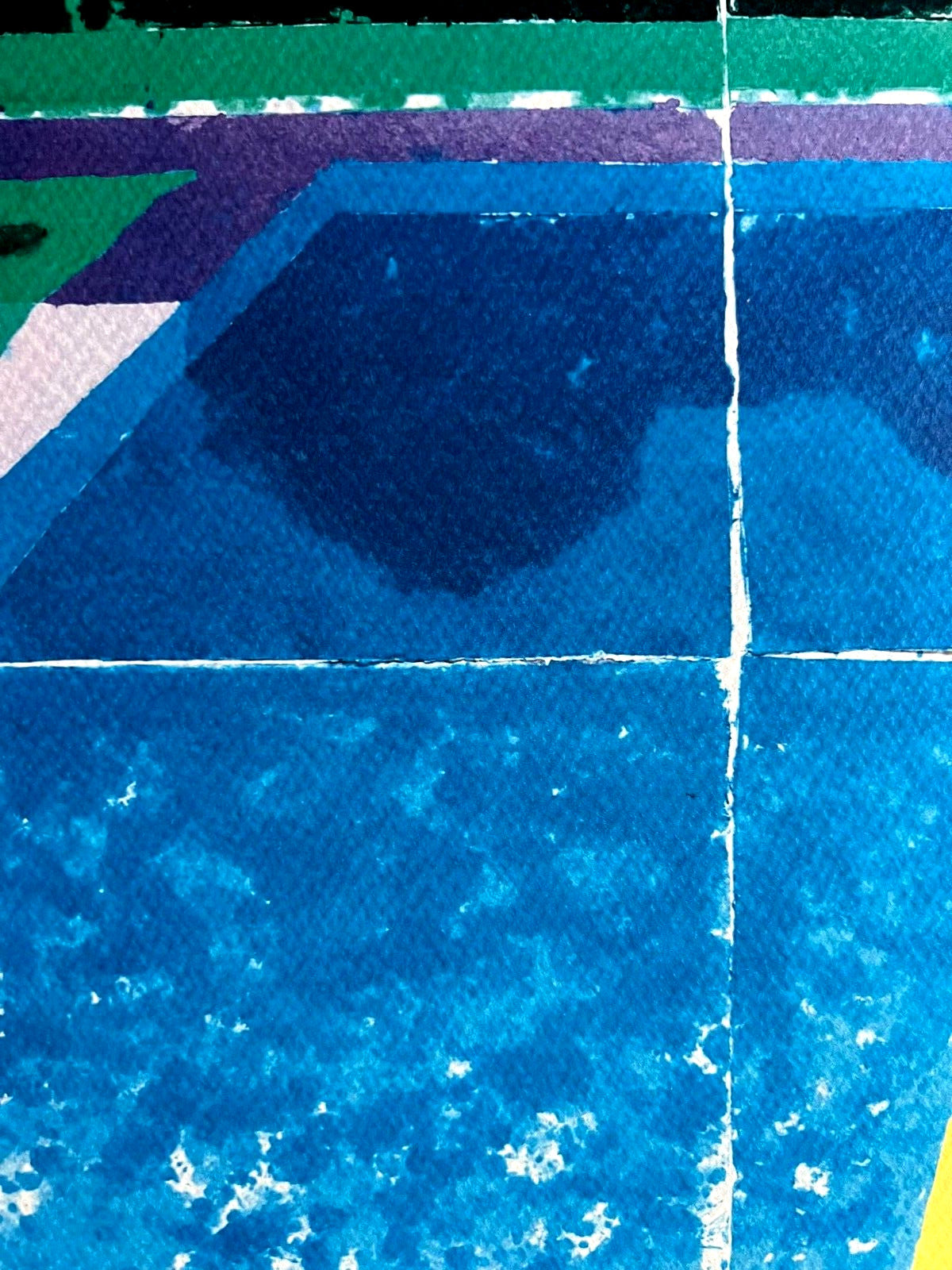 David Hockney Lithograph Coa Original Signed