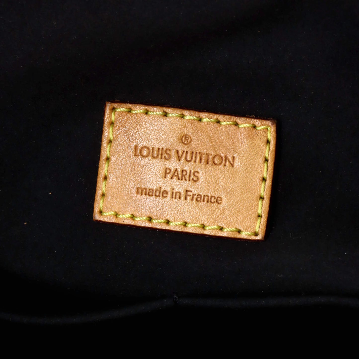 Canvas Louis Vuitton Gaia Handbag Monogram