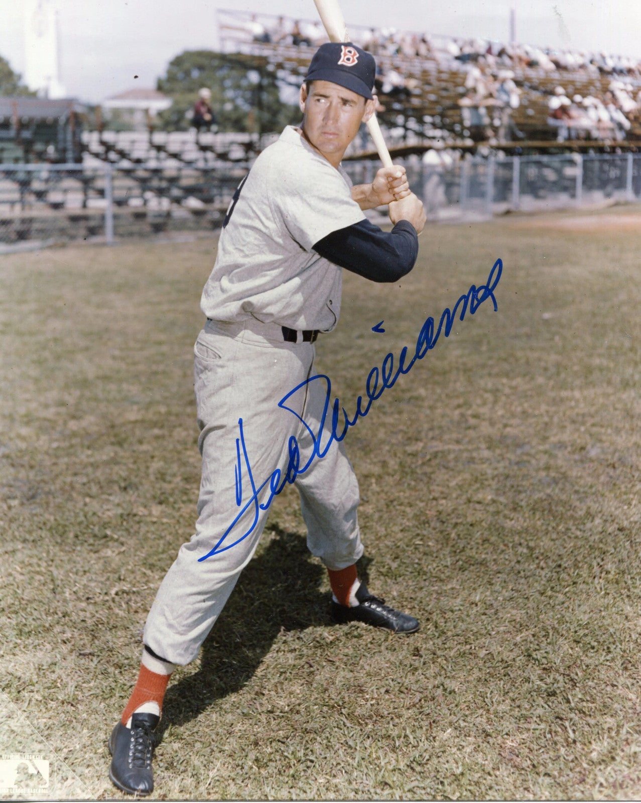 Ted Williams Autographed 8X10 Photo