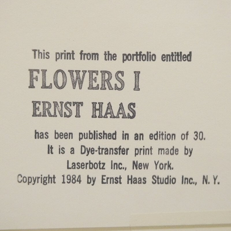 Ernst Haas Dye-Transfer Print "Flowers I (Red Tulips 1984)" Signed Limited Ed30