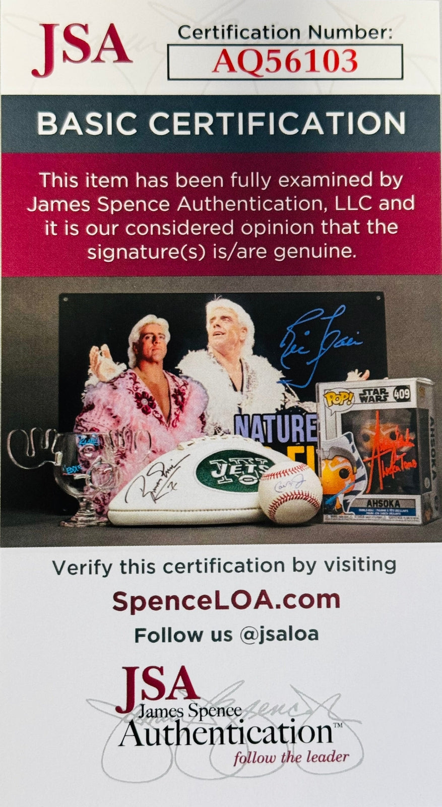 Steve Young Autographed Official Nfl Football (Jsa)