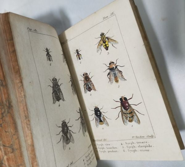 1813 Histoire Naturelle Des Insectes Tome Ix De Tigny Hand-Colored Plates Buffon