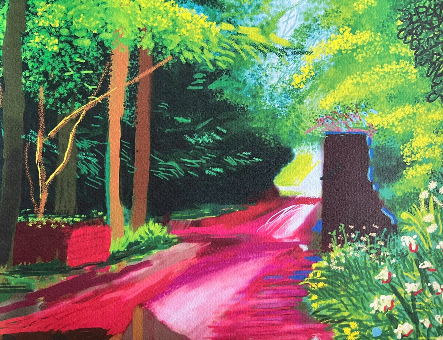 David Hockney Coa Lithograph Signed Op Hand