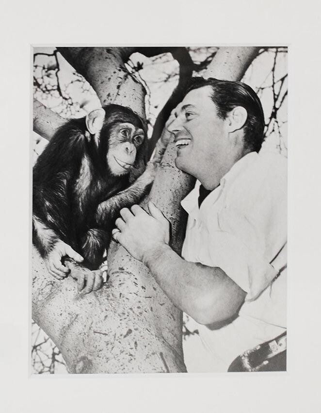 Acme Newspicture Johnny Weissmuller Vintage Press