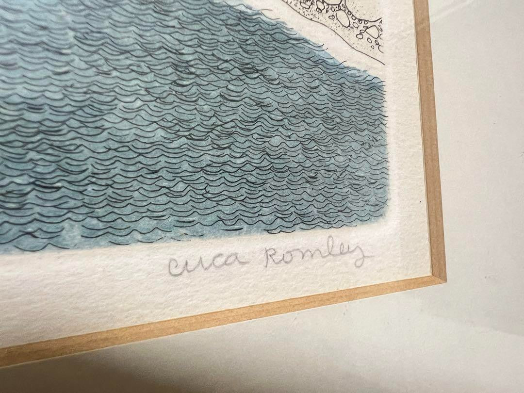 Cuca Romley "Little Falls" Limited Edition Lithograph Hand Signed Numbered Frame