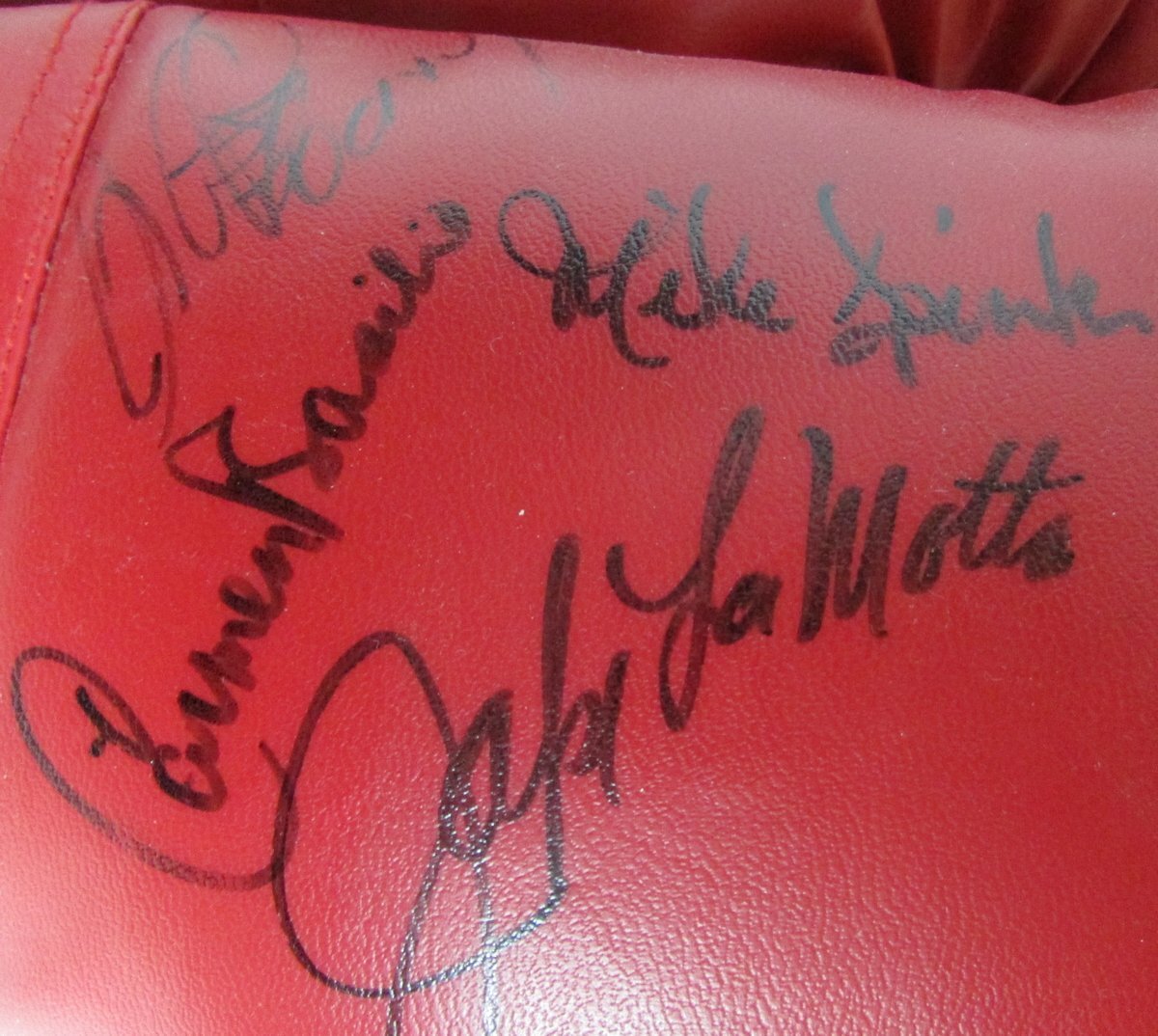 2004 Children'S Fight Night Multi Signed Boxing Gloves Incl Spinks/Cooney 147547