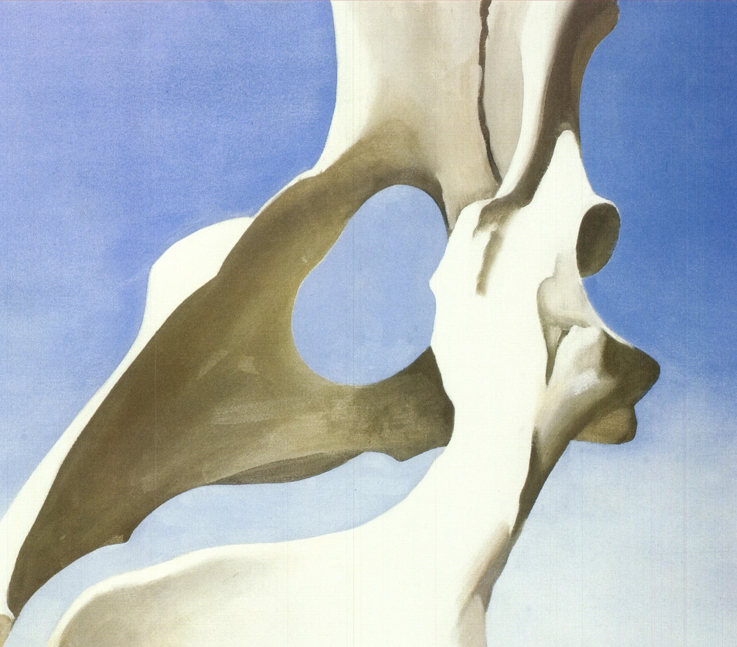 Georgia O'Keeffe Pelvis With The Distance " Offset Lithograph Moder