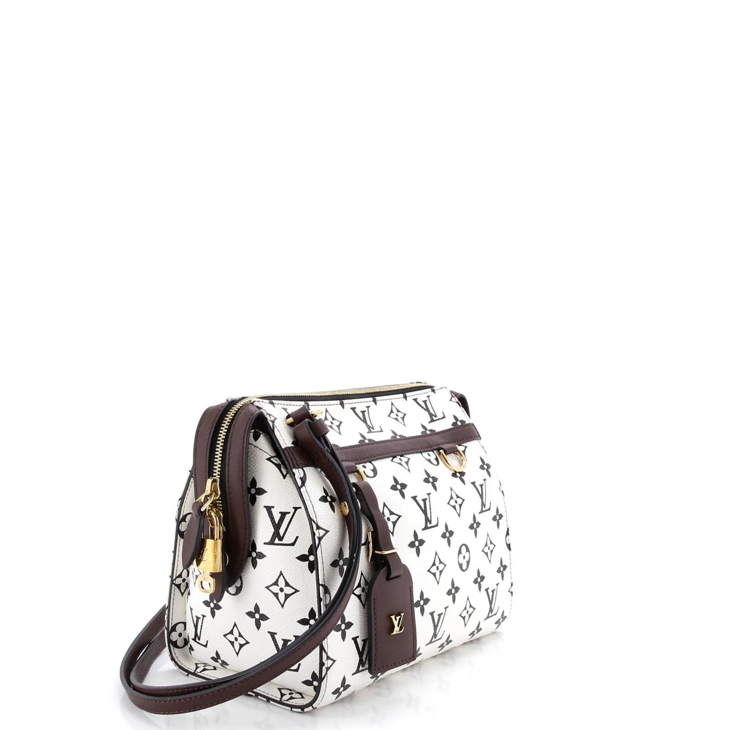 Louis Vuitton Speedy Amazon Bag Monogram Canvas Pm