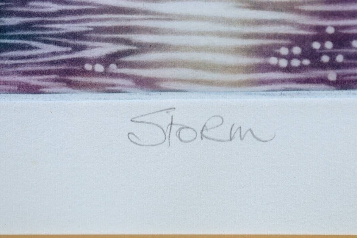 Susan Jameson - Storm Original Lithograph Print