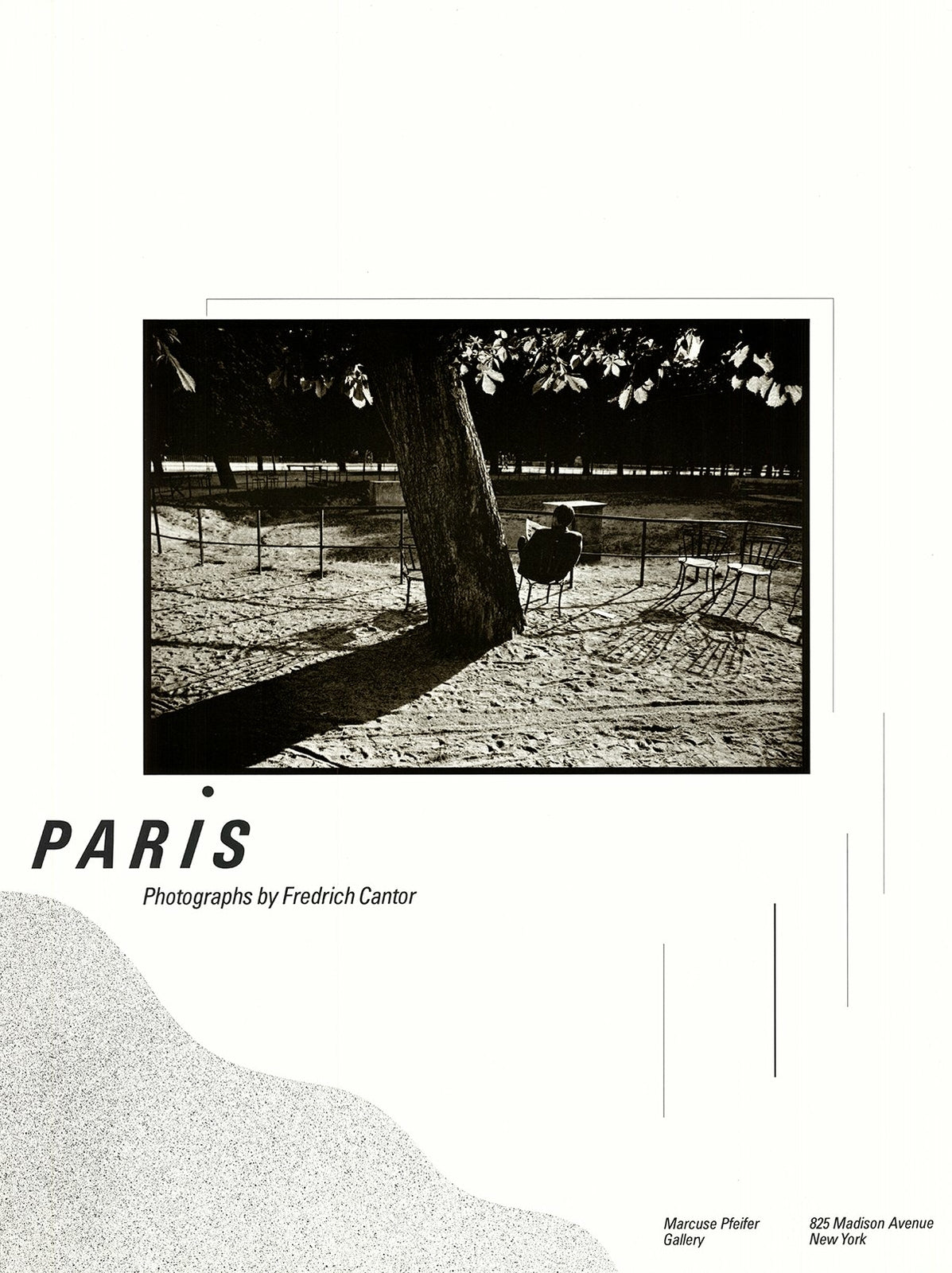 Fredrich Cantor Paris " Poster Photography Black & White Tree Man