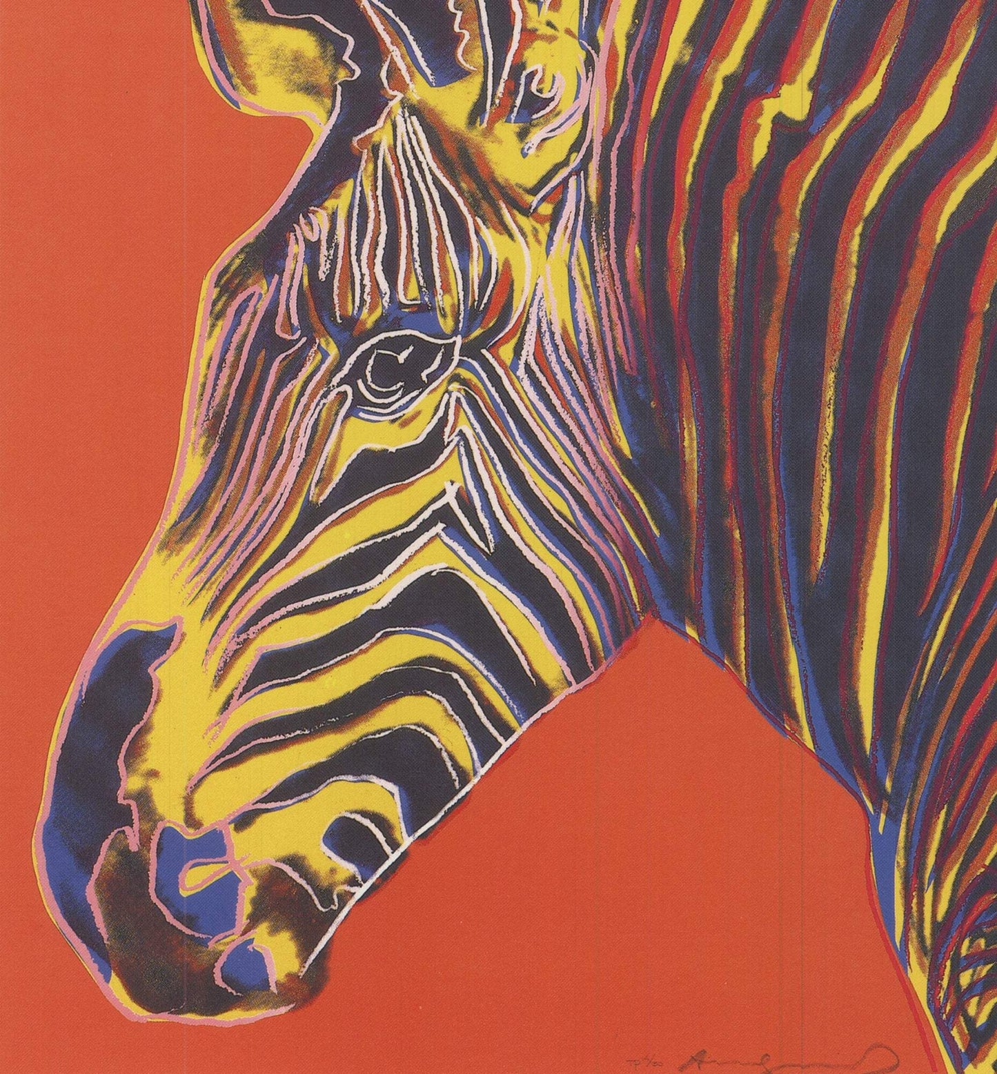 Andy Warhol Endangered Species: Grevy'S Zebra " Offset Lithograph 19