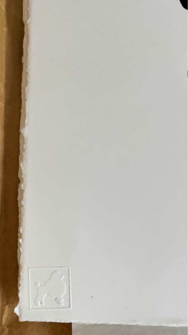 Victor Castillo Signed Original Silkscreen Print " Luna" 2014 Limited Edition 25