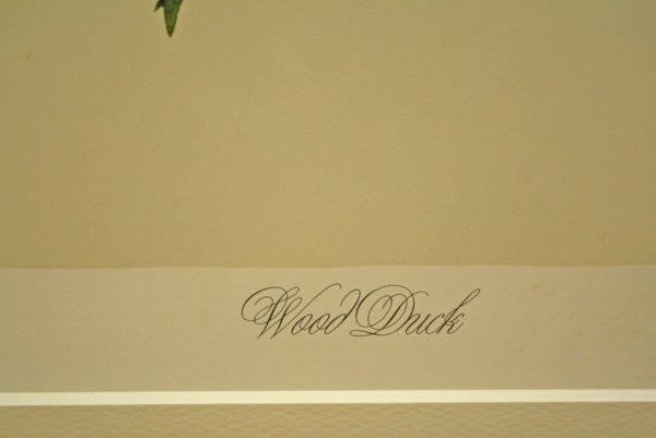 John James Audubon "Wood Duck" Lithograph By M. Bernard Loates Signed 16/1000