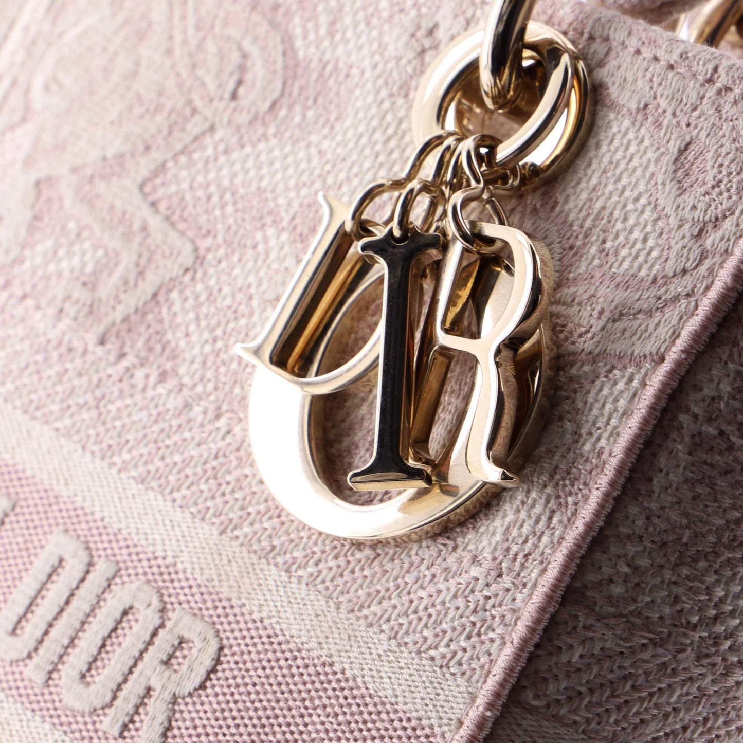 Christian Dior Toile De Jouy Lady D-Lite Bag Embroidered Canvas