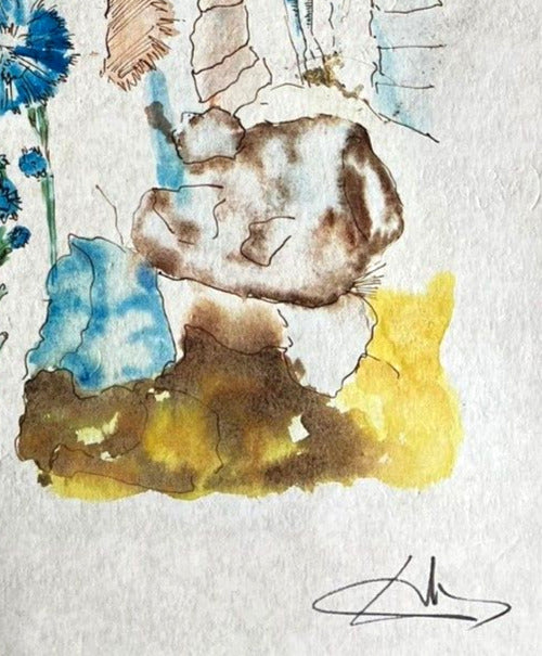 Salvador Dal Lithograph Coa Signed Op Numbered