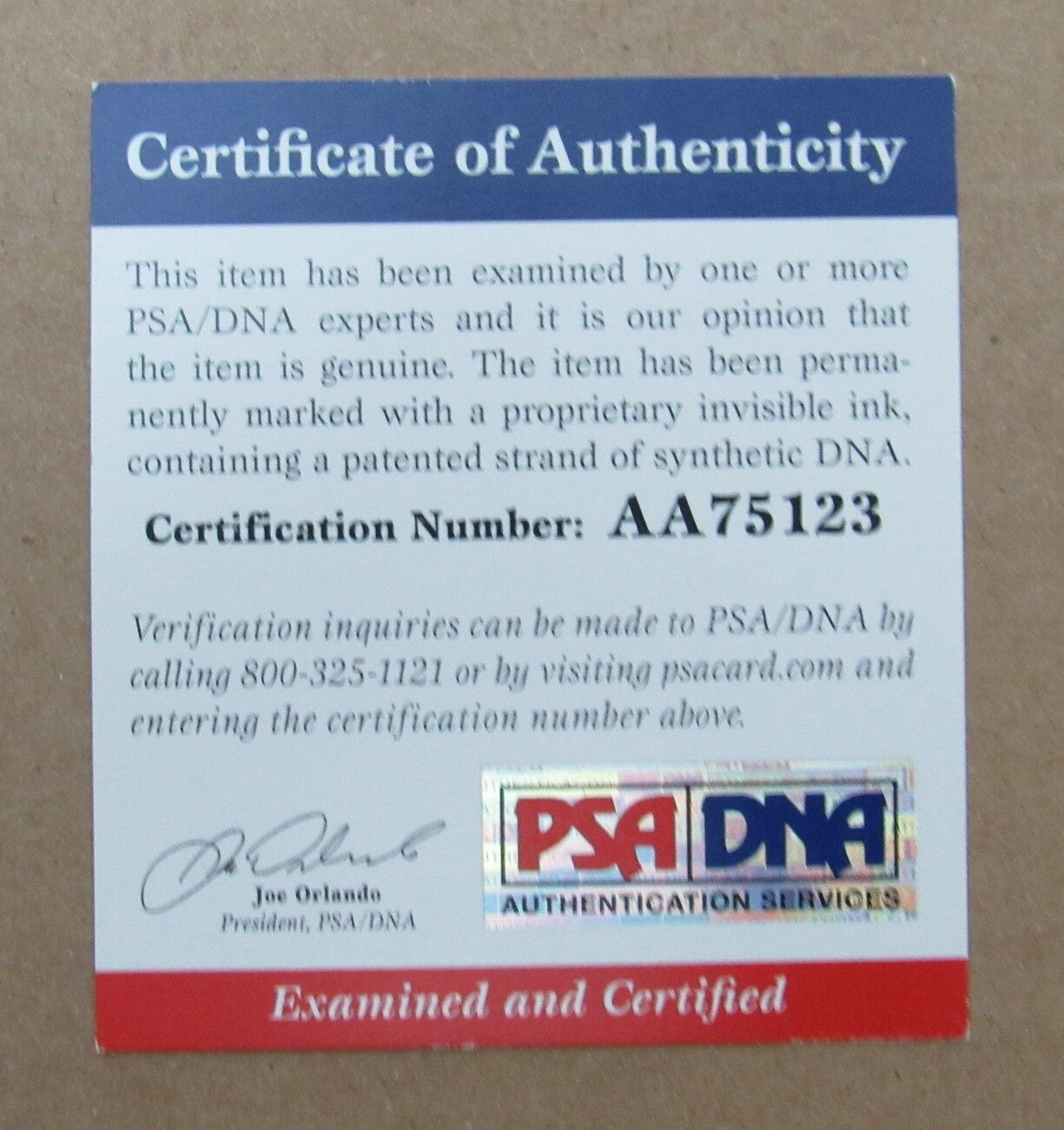 Magic Johnson La Lakers Signed/Autographed 16X20 Si Photo Framed Beckett 149212