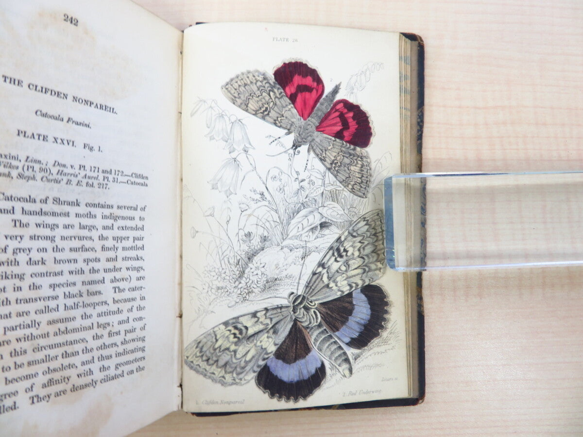 James Duncan?The Naturalist'S Library 4?1836 British Moth Book