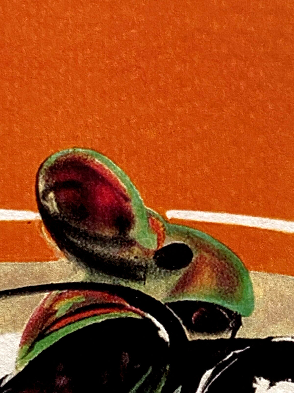 Francis Bacon Lithograph Coa Signed Op Published