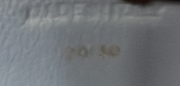 Celine Classic Box Bag Lizard Small