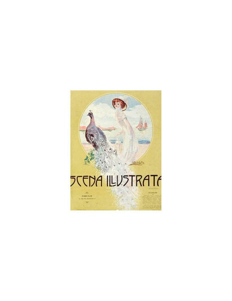 Scena Illustrata Arts Literature Music Theatre Peacock Beach 1900
