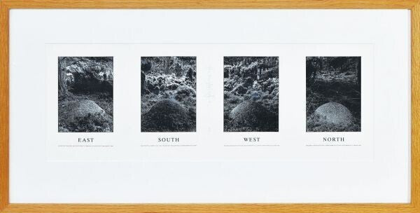 Hamish Fulton Photogravure Print East South West