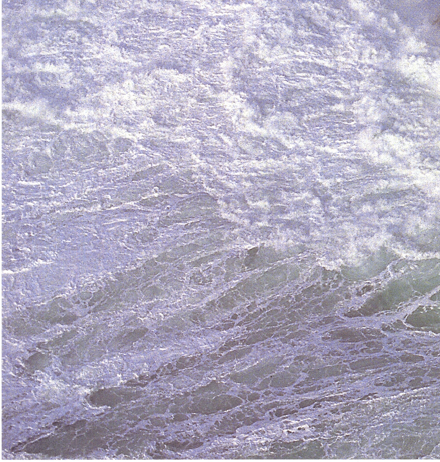 Jean Guichard Pierres Noires " Offset Lithograph Photography