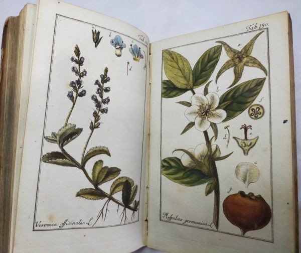 Johannes Zorn Icones Plantarum Medicinalium Vol Ii 1784 2Nd Ed Hand-Colored