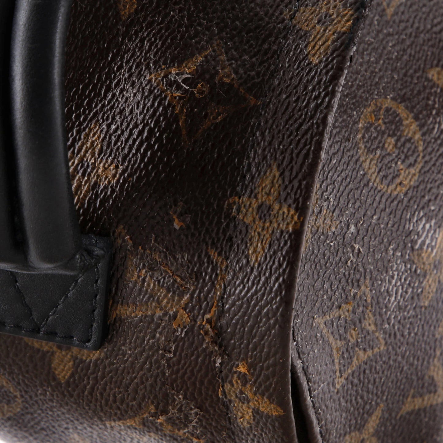 Louis Vuitton Palm Springs Backpack Monogram Canvas Mini