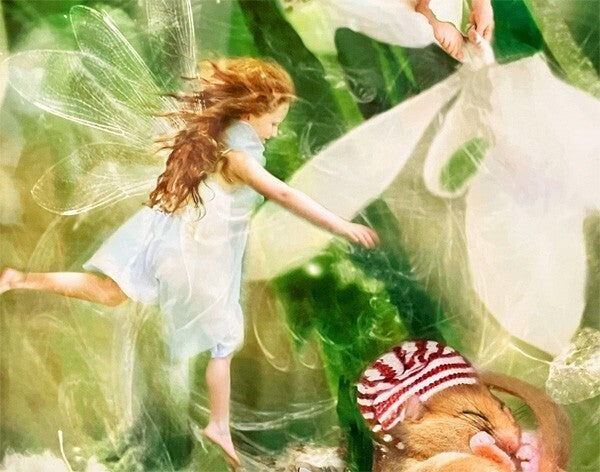 Charlotte Bird (Uk) Photograph Print "Fairy