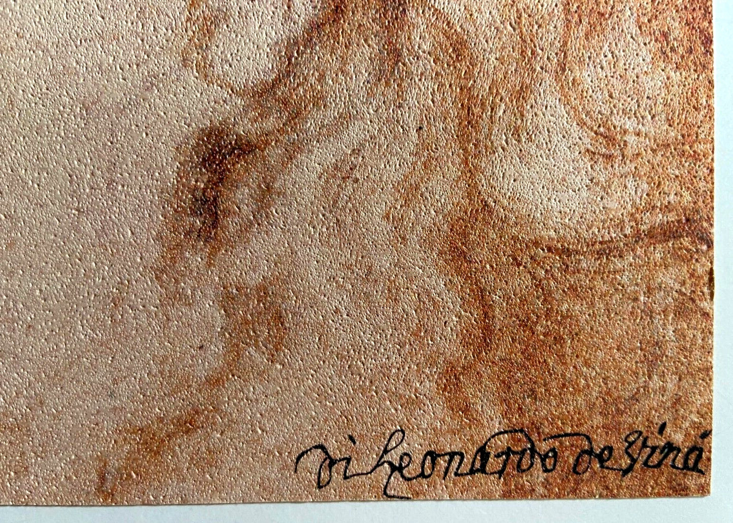 Leonardo Da Vinci Lithograph Coa 1968 Signed