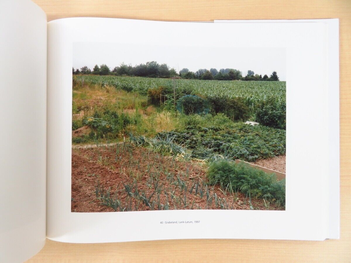 Simone Nieweg - Landshaften Und Gartenstucke