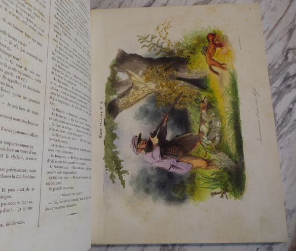 1844 Paris Comique 1St Edition Aubert Hand-Colored Lithographs Vellum Binding
