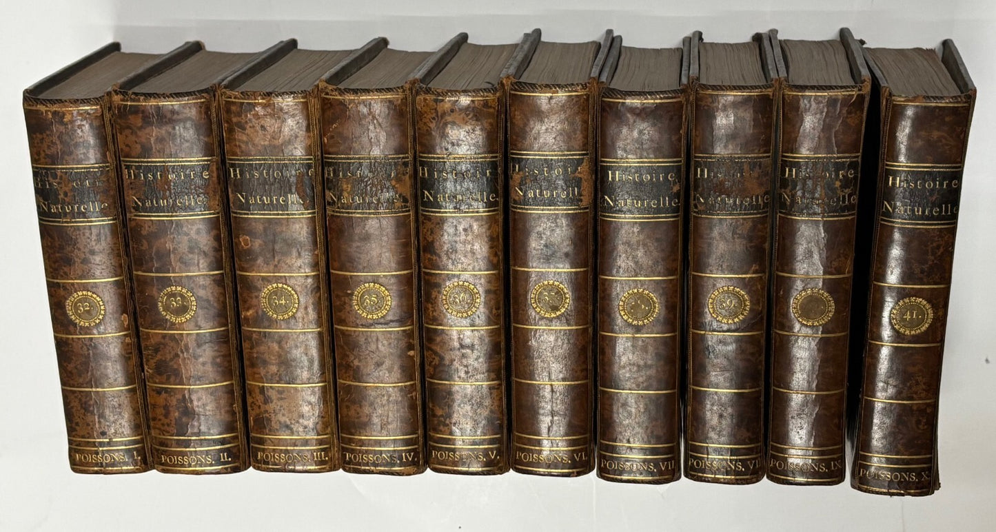 Bloch Marcus Elieser "Histoire Naturelle Des
