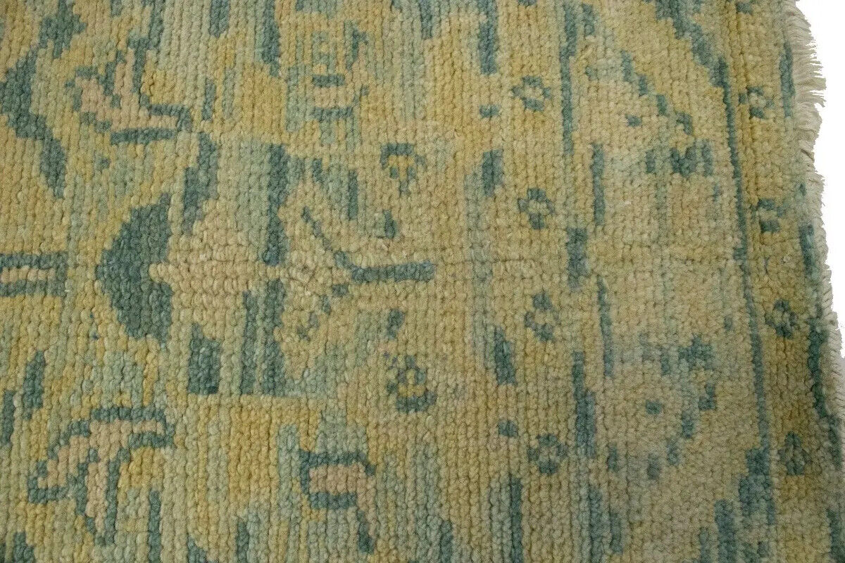 Muted Colors Transitional Floral Oriental Rug