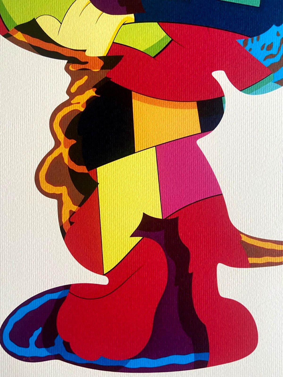 Kaws Lithograph Mori Art Museum Coa Numbered In