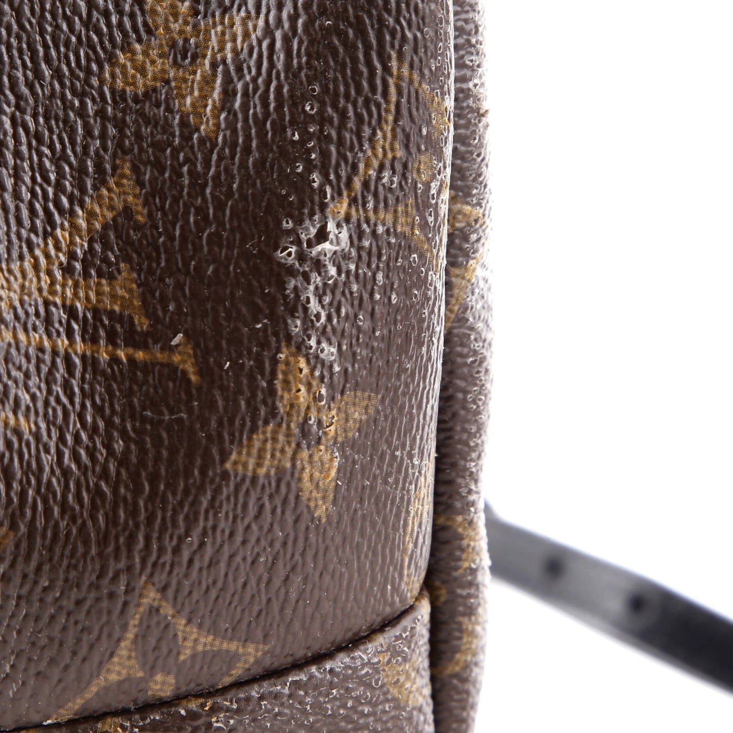 Louis Vuitton Palm Springs Backpack Monogram Canvas Mini