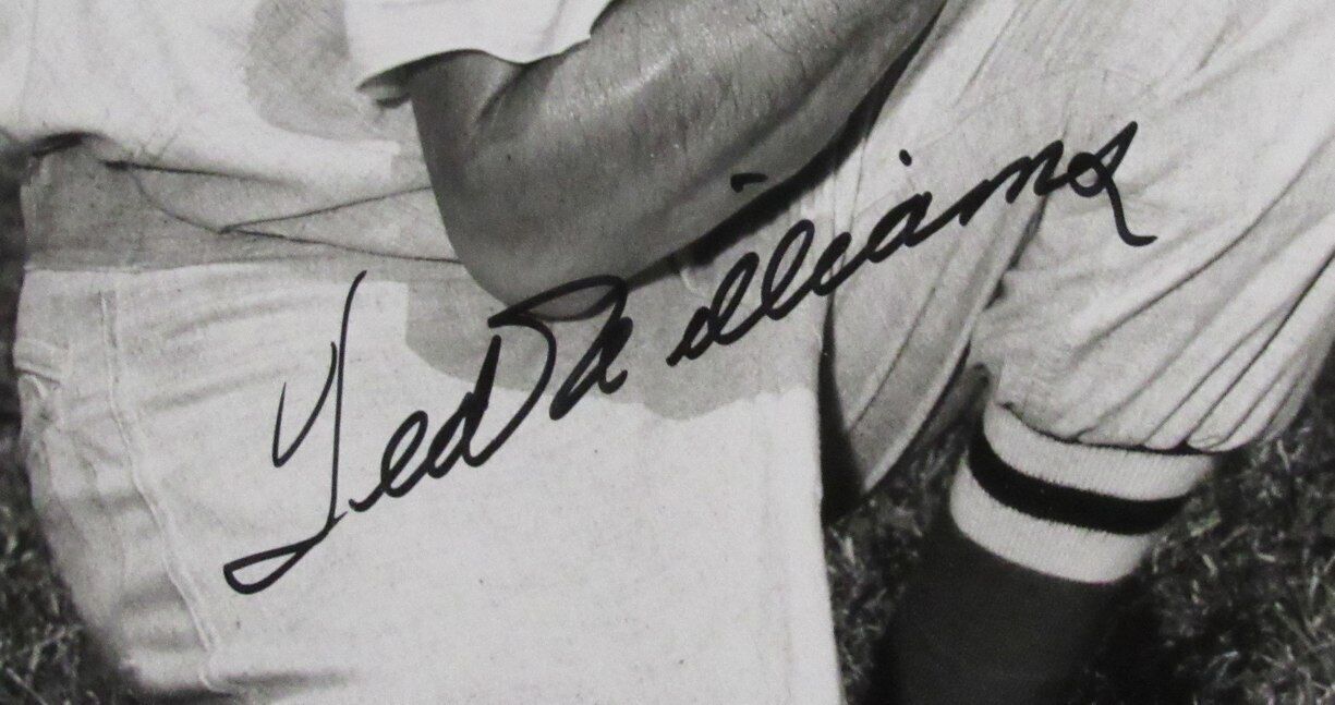 Ted Williams Hof Signed/Autographed 16X20 Photo