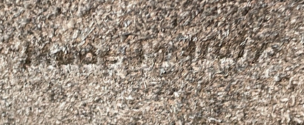 Celine Belt Bag Textured Leather Micro