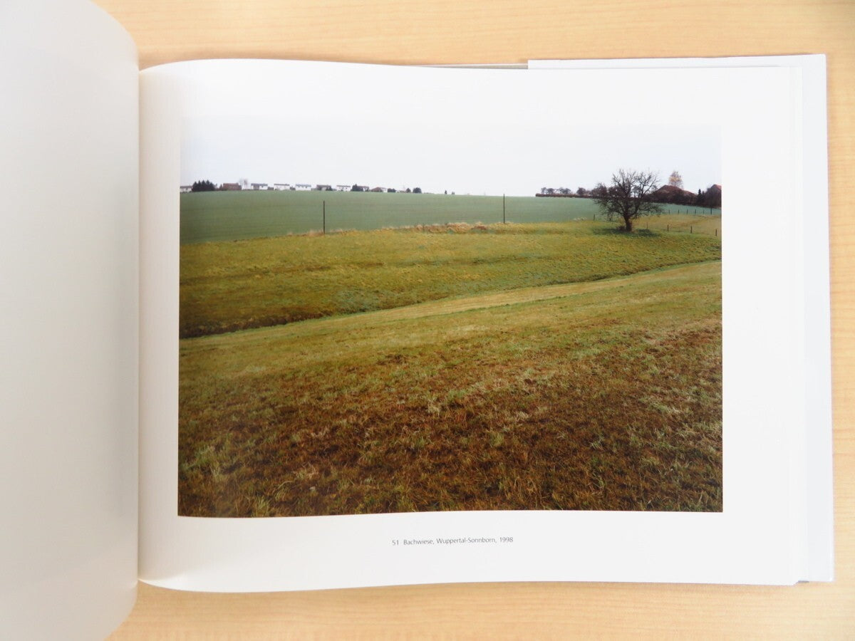Simone Nieweg - Landshaften Und Gartenstucke