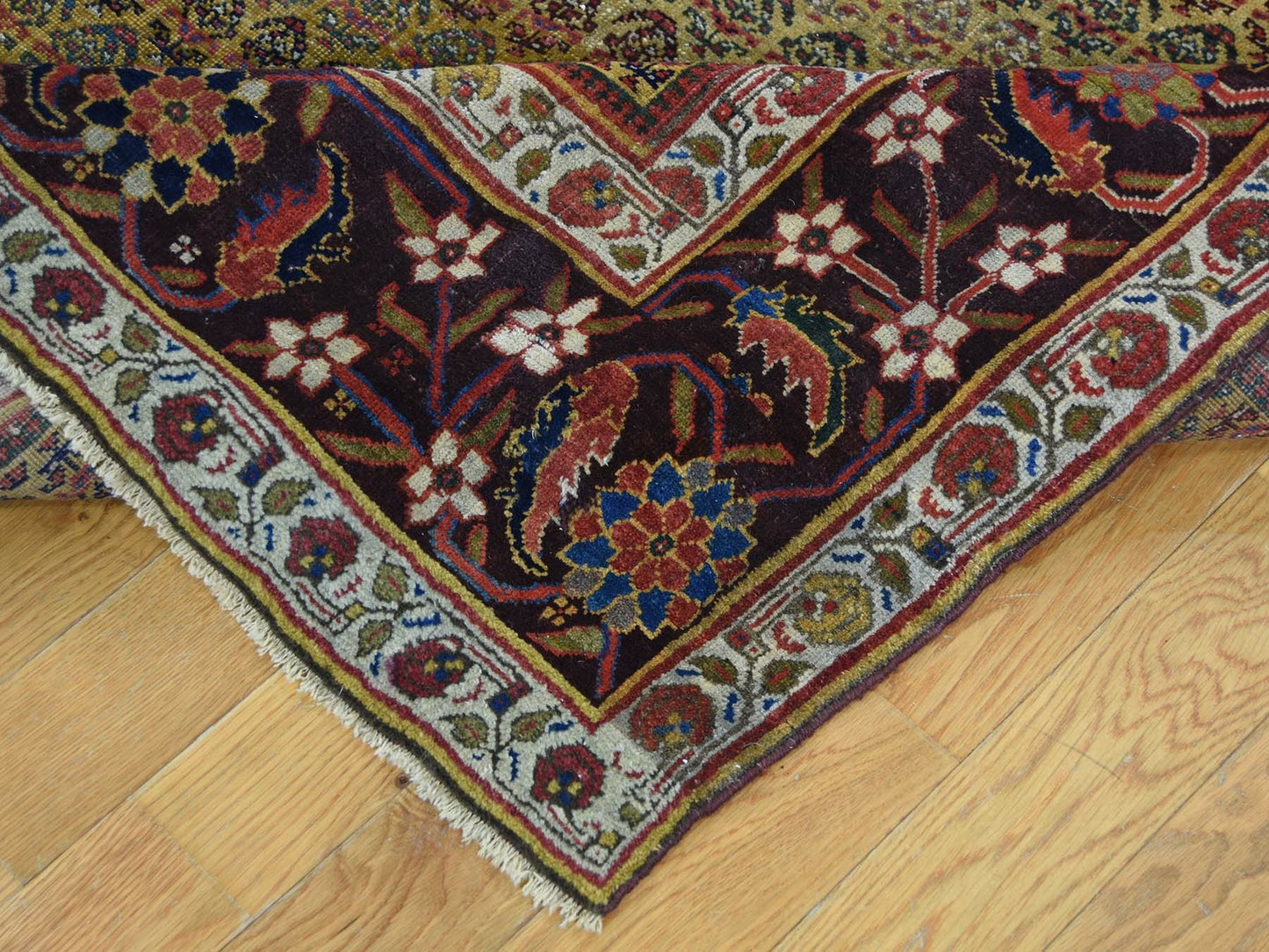 5'1"X9'10" Antique Farsian Bejar Exc Cond Wide Runner Oriental Rug