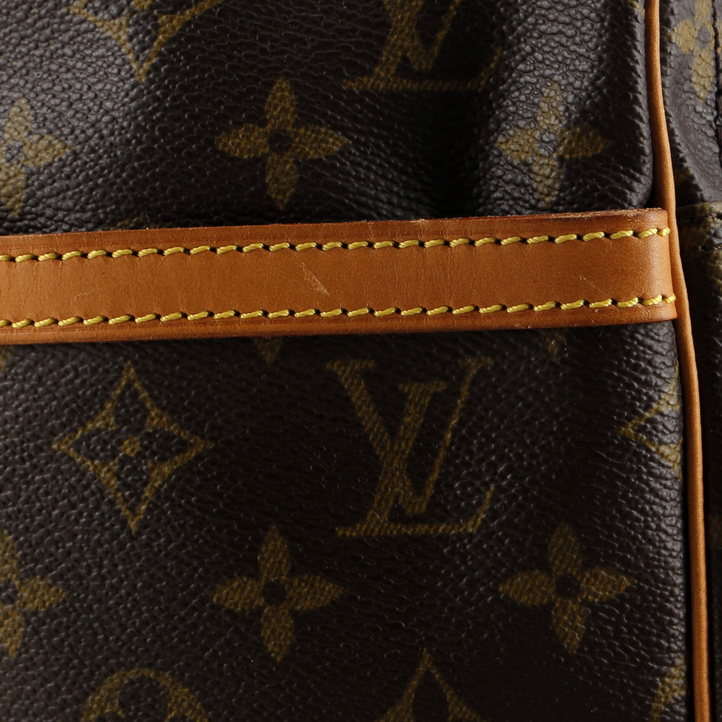 Louis Vuitton Danube Handbag Monogram Canvas