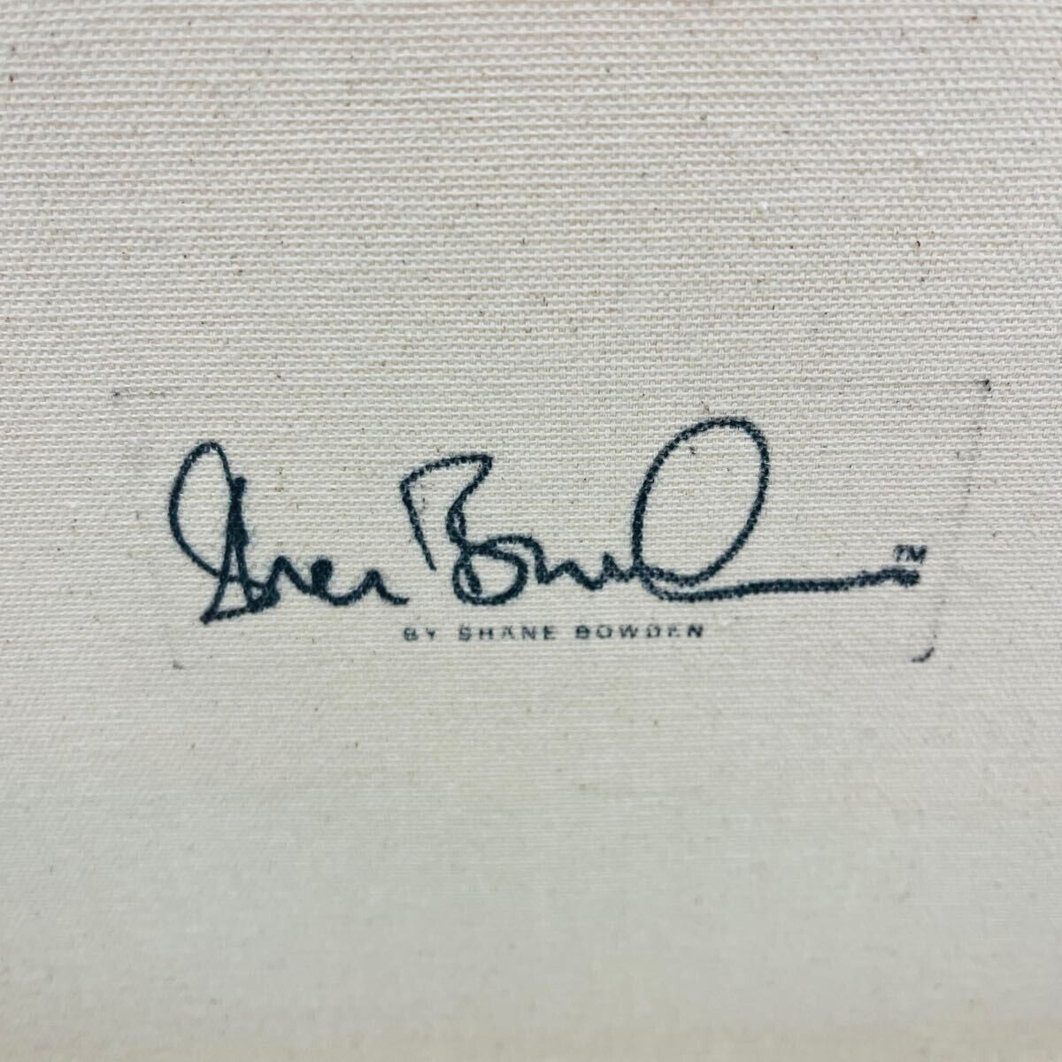 Shane Bowden - Scull Signed Original Art Painting Mixed Media On Canvas