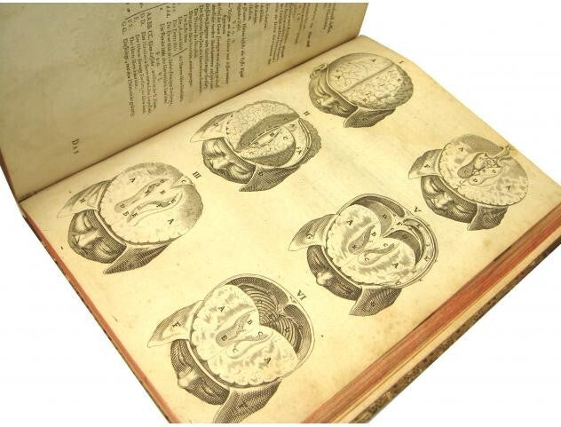 Syntagma Anatomicum Rare 17Th Medical Anatomy