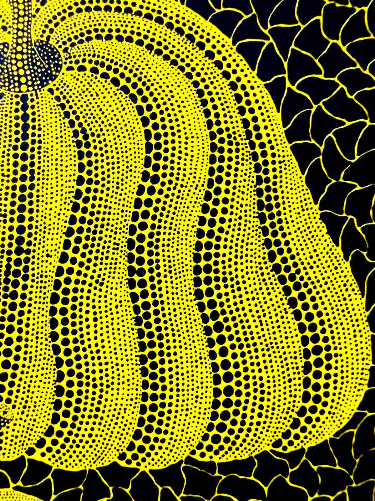 Yayoi Kusama Lithograph Mori Museum Coa Original Numbered Limited To 200