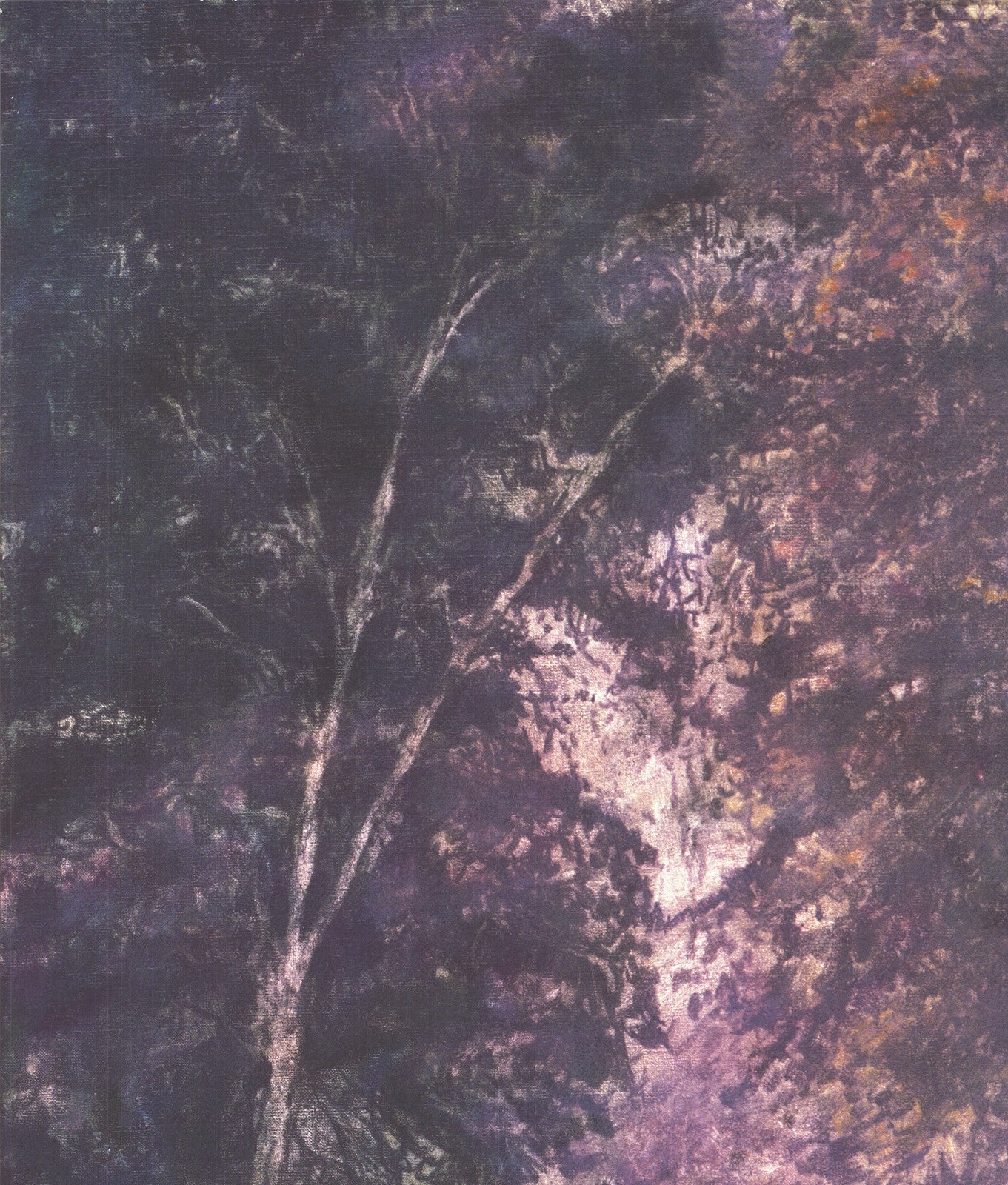 Piet Bekaert Early Morning " Offset Lithograph Contemporary